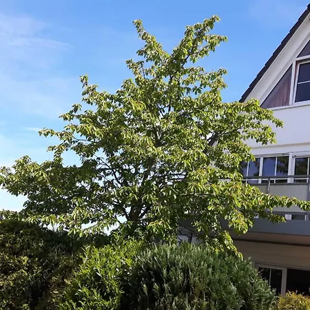 Wellenberg